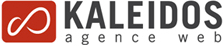 Kaleidos agence web