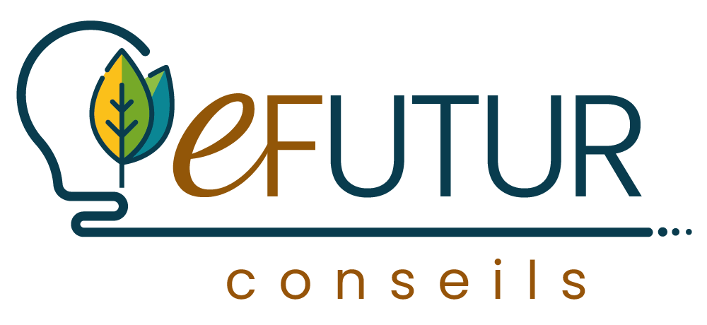 eFutur conseils