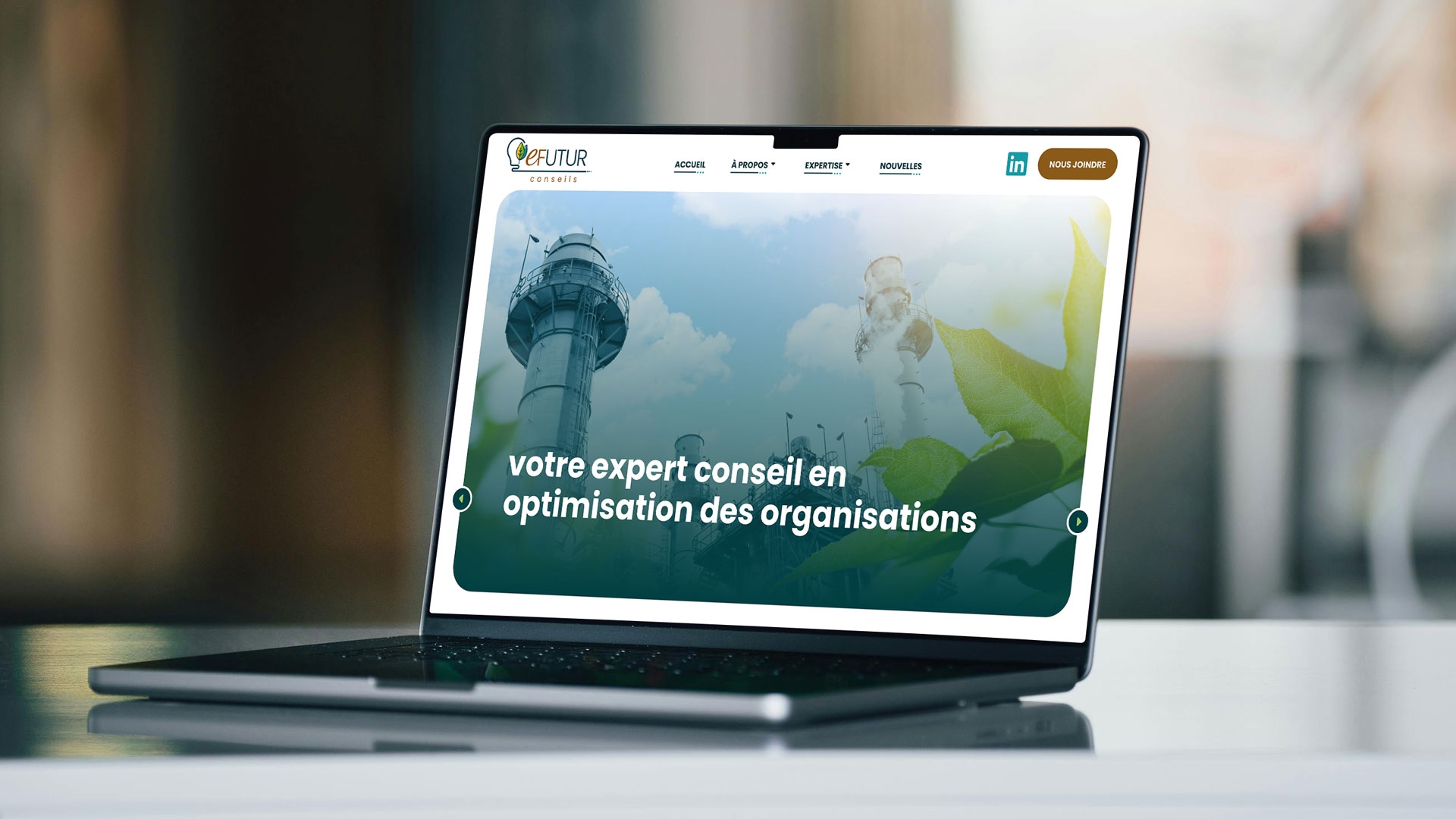 eFutur conseils