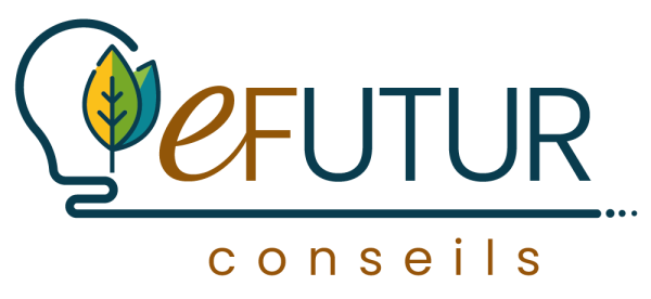 eFutur conseils