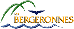 Budget participatif Les Bergeronnes