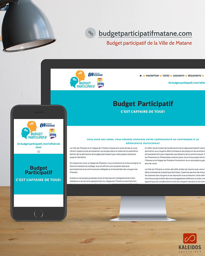 Budget participatif